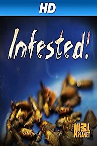 Infested