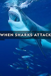 When Sharks Attack